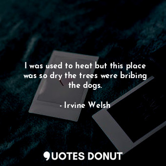  I was used to heat but this place was so dry the trees were bribing the dogs.... - Irvine Welsh - Quotes Donut