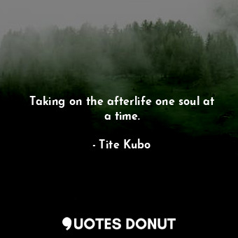  Taking on the afterlife one soul at a time.... - Tite Kubo - Quotes Donut
