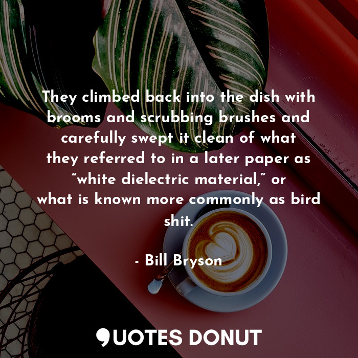 They climbed back into the dish with brooms and scrubbing brushes and carefully ... - Bill Bryson - Quotes Donut