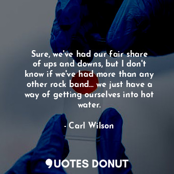  Sure, we&#39;ve had our fair share of ups and downs, but I don&#39;t know if we&... - Carl Wilson - Quotes Donut