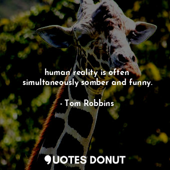 human reality is often simultaneously somber and funny.