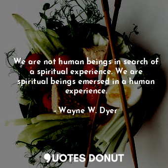 We are not human beings in search of a spiritual experience. We are spiritual beings emersed in a human experience.