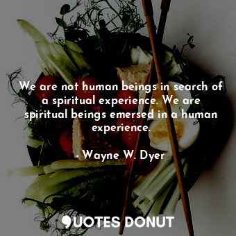  We are not human beings in search of a spiritual experience. We are spiritual be... - Wayne W. Dyer - Quotes Donut