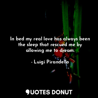 In bed my real love has always been the sleep that rescued me by allowing me to dream.