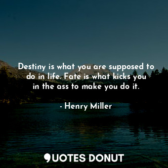 Destiny is what you are supposed to do in life. Fate is what kicks you in the ass to make you do it.