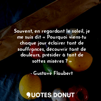 Souvent, en regardant le soleil, je me suis dit « Pourquoi viens-tu chaque jour éclairer tant de souffrances, découvrir tant de douleurs, présider à tant de sottes misères ? »