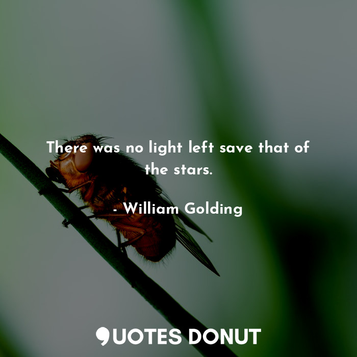  There was no light left save that of the stars.... - William Golding - Quotes Donut