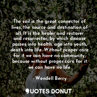 The soil is the great connector of lives, the source and destination of all. It is the healer and restorer and resurrector, by which disease passes into health, age into youth, death into life. Without proper care for it we can have no community, because without proper care for it we can have no life.