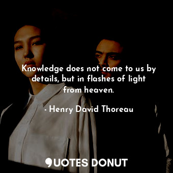 Knowledge does not come to us by details, but in flashes of light from heaven.