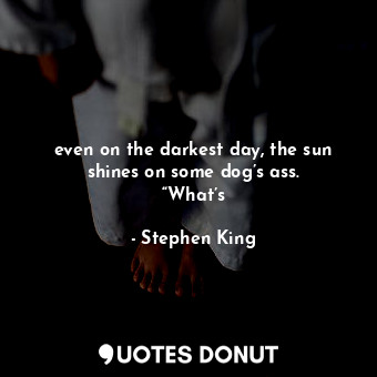 even on the darkest day, the sun shines on some dog’s ass. “What’s