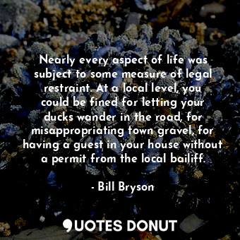  Nearly every aspect of life was subject to some measure of legal restraint. At a... - Bill Bryson - Quotes Donut