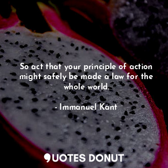  So act that your principle of action might safely be made a law for the whole wo... - Immanuel Kant - Quotes Donut