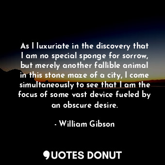 As I luxuriate in the discovery that I am no special sponge for sorrow, but merely another fallible animal in this stone maze of a city, I come simultaneously to see that I am the focus of some vast device fueled by an obscure desire.