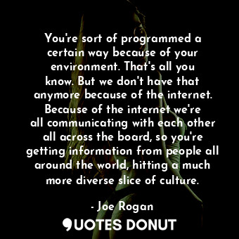 You&#39;re sort of programmed a certain way because of your environment. That&#39;s all you know. But we don&#39;t have that anymore because of the internet. Because of the internet we&#39;re all communicating with each other all across the board, so you&#39;re getting information from people all around the world, hitting a much more diverse slice of culture.