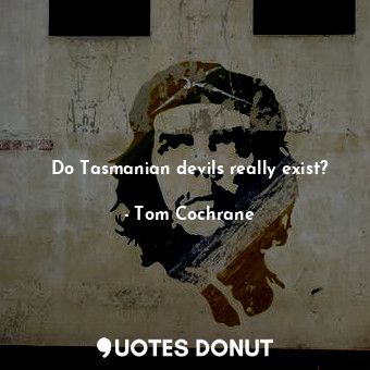  Do Tasmanian devils really exist?... - Tom Cochrane - Quotes Donut