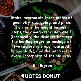  Stairs incorporate three pieces of geometry: rise, going, and pitch. The rise is... - Bill Bryson - Quotes Donut
