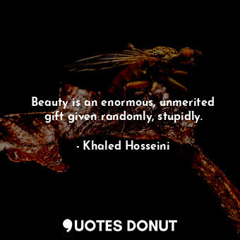 Beauty is an enormous, unmerited gift given randomly, stupidly.