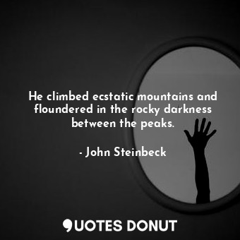 He climbed ecstatic mountains and floundered in the rocky darkness between the peaks.