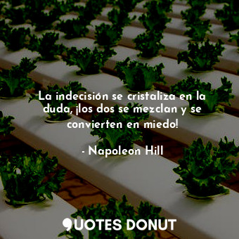  La indecisión se cristaliza en la duda, ¡los dos se mezclan y se convierten en m... - Napoleon Hill - Quotes Donut