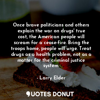 Once brave politicians and others explain the war on drugs&#39; true cost, the American people will scream for a cease-fire. Bring the troops home, people will urge. Treat drugs as a health problem, not as a matter for the criminal justice system.