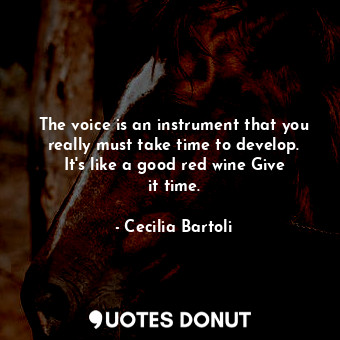 The voice is an instrument that you really must take time to develop. It&#39;s like a good red wine Give it time.
