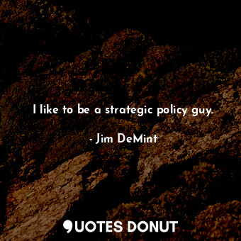 I like to be a strategic policy guy.