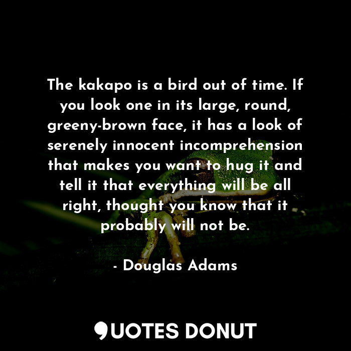 The kakapo is a bird out of time. If you look one in its large, round, greeny-brown face, it has a look of serenely innocent incomprehension that makes you want to hug it and tell it that everything will be all right, thought you know that it probably will not be.