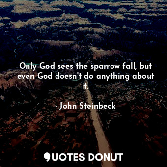 Only God sees the sparrow fall, but even God doesn't do anything about it.
