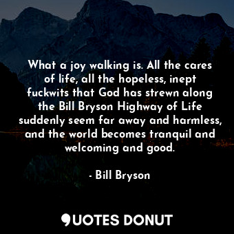 What a joy walking is. All the cares of life, all the hopeless, inept fuckwits that God has strewn along the Bill Bryson Highway of Life suddenly seem far away and harmless, and the world becomes tranquil and welcoming and good.