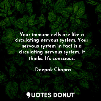 Your immune cells are like a circulating nervous system. Your nervous system in fact is a circulating nervous system. It thinks. It&#39;s conscious.