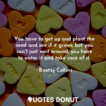  You have to get up and plant the seed and see if it grows, but you can&#39;t jus... - Bootsy Collins - Quotes Donut