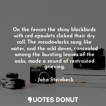 On the fences the shiny blackbirds with red epaulets clicked their dry call. The meadowlarks sang like water, and the wild doves, concealed among the bursting leaves of the oaks, made a sound of restrained grieving.