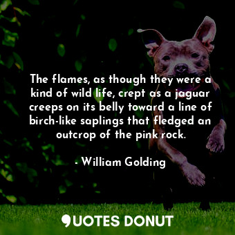 The flames, as though they were a kind of wild life, crept as a jaguar creeps on its belly toward a line of birch-like saplings that fledged an outcrop of the pink rock.