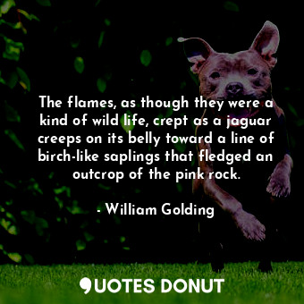  The flames, as though they were a kind of wild life, crept as a jaguar creeps on... - William Golding - Quotes Donut