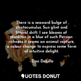  There is a seaward bulge of stratocumulus. Sun glint and littoral drift. I see b... - Don DeLillo - Quotes Donut