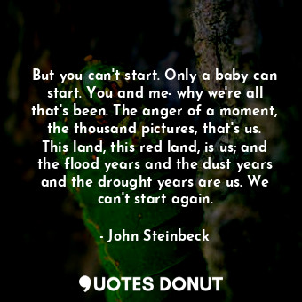 But you can't start. Only a baby can start. You and me- why we're all that's been. The anger of a moment, the thousand pictures, that's us. This land, this red land, is us; and the flood years and the dust years and the drought years are us. We can't start again.