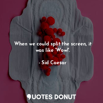  When we could split the screen, it was like &#39;Wow!&#39;.... - Sid Caesar - Quotes Donut