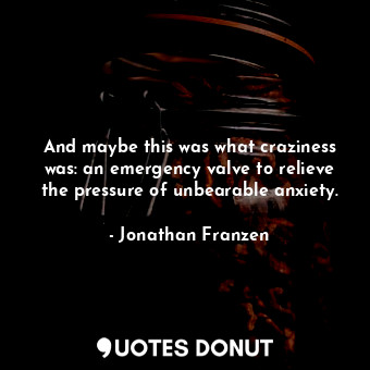  And maybe this was what craziness was: an emergency valve to relieve the pressur... - Jonathan Franzen - Quotes Donut