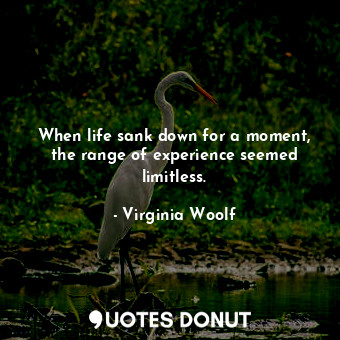 When life sank down for a moment, the range of experience seemed limitless.