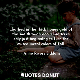  ...bathed in the thick honey gold of the sun through encircling trees only just ... - Anne Rivers Siddons - Quotes Donut