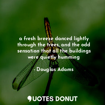  a fresh breeze danced lightly through the trees, and the odd sensation that all ... - Douglas Adams - Quotes Donut