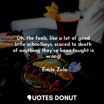  Oh, the fools, like a lot of good little schoolboys, scared to death of anything... - Émile Zola - Quotes Donut