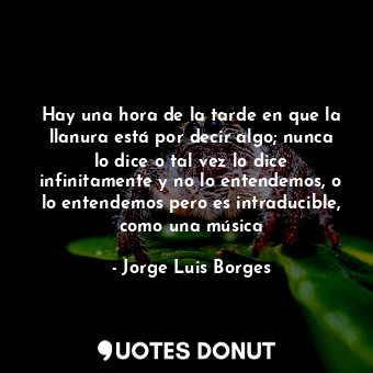 Hay una hora de la tarde en que la llanura está por decir algo; nunca lo dice o tal vez lo dice infinitamente y no lo entendemos, o lo entendemos pero es intraducible, como una música