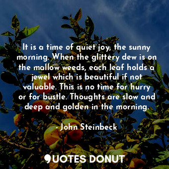 It is a time of quiet joy, the sunny morning. When the glittery dew is on the mallow weeds, each leaf holds a jewel which is beautiful if not valuable. This is no time for hurry or for bustle. Thoughts are slow and deep and golden in the morning.