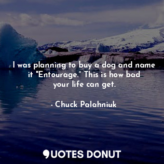  I was planning to buy a dog and name it "Entourage.” This is how bad your life c... - Chuck Palahniuk - Quotes Donut