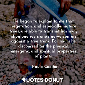 He began to explain to me that vegetation, and especially mature trees, are able to transmit harmony when one rests one’s nerve centers against a tree trunk. For hours he discoursed on the physical, energetic, and spiritual properties of plants.