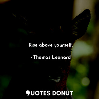  Rise above yourself.... - Thomas Leonard - Quotes Donut