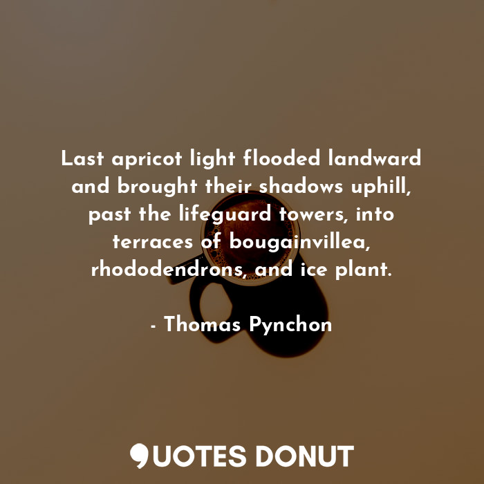  Last apricot light flooded landward and brought their shadows uphill, past the l... - Thomas Pynchon - Quotes Donut