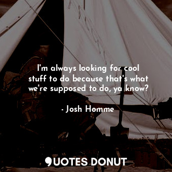 I&#39;m always looking for cool stuff to do because that&#39;s what we&#39;re su... - Josh Homme - Quotes Donut