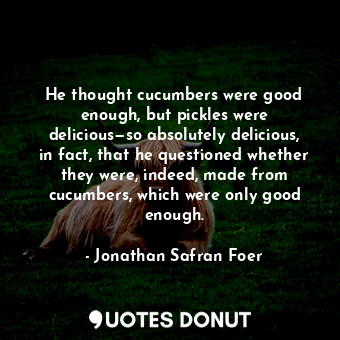 He thought cucumbers were good enough, but pickles were delicious—so absolutely delicious, in fact, that he questioned whether they were, indeed, made from cucumbers, which were only good enough.